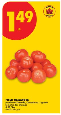 FIELD TOMATOES