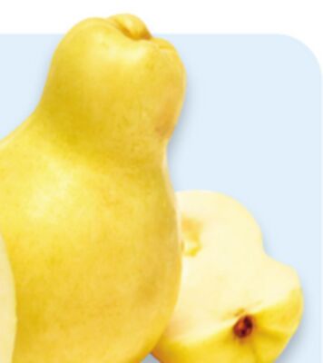 Guava