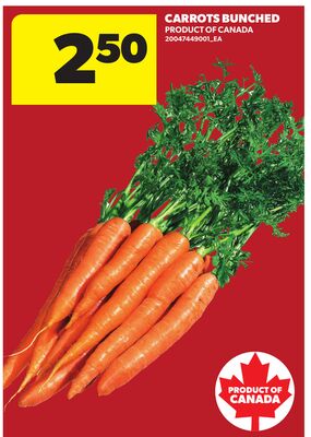 CARROTS BUNCHED
