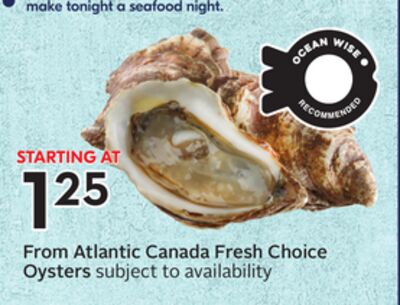 Fresh Choice Oysters
