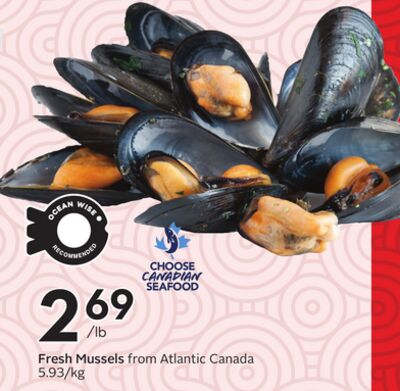 Fresh Mussels