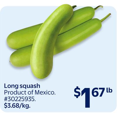Long squash
