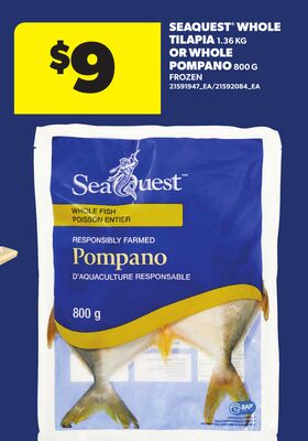 SEAQUEST® WHOLE TILAPIA, 1.36 KG OR WHOLE POMPANO, 800 G