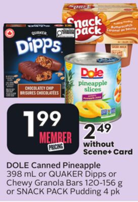 Canned Pineapple - Big Earn