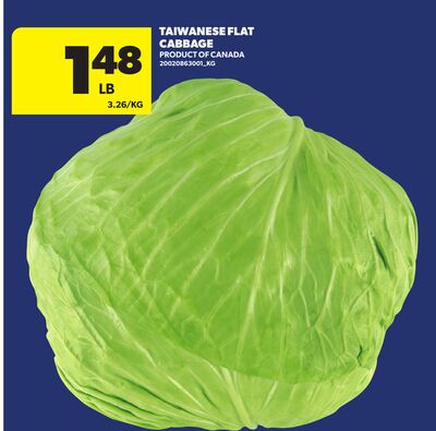 TAIWANESE FLAT CABBAGE