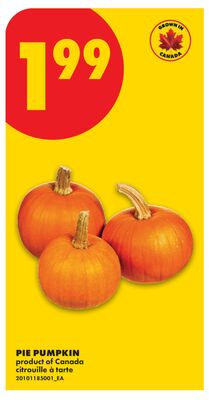 PIE PUMPKIN