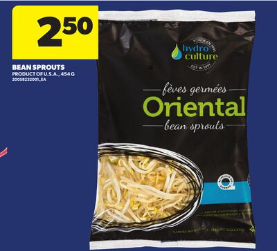 BEAN SPROUTS, 454 G