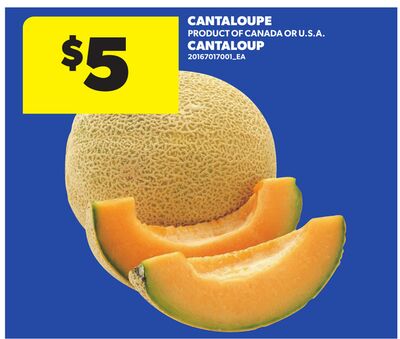 CANTALOUPE