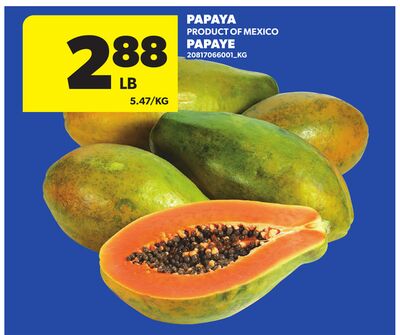 PAPAYA