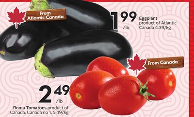 Eggplant OR Roma Tomatoes