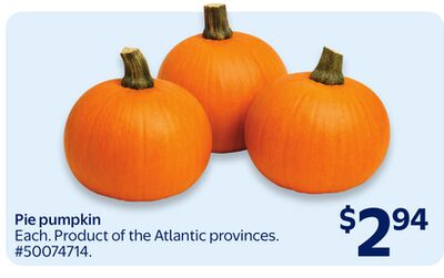 Pie pumpkin