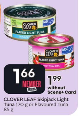 Skipjack Light Tuna - Big Earn