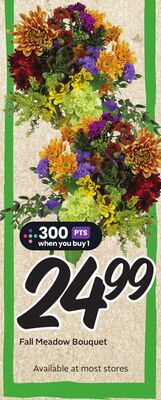 Fall Meadow Bouquet - Big Earn