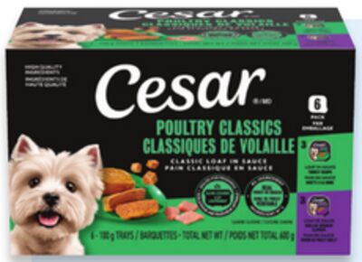 Cesar wet dog food
