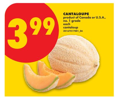 CANTALOUPE