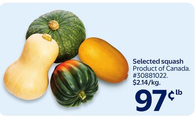 Selected squash