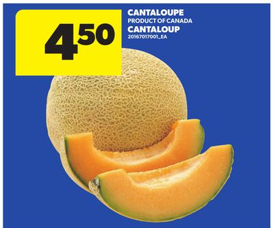 CANTALOUPE