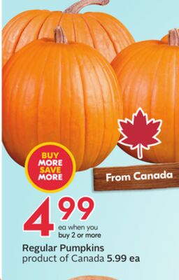 Regular Pumpkins