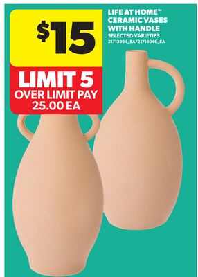 LIFE AT HOME™ CERAMIC VASES WITH HANDLE