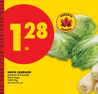 NAPA CABBAGE