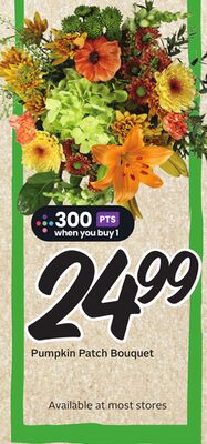 Pumpkin Patch Bouquet - Big Earn