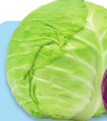 Green cabbage