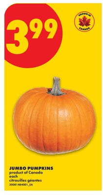 JUMBO PUMPKINS