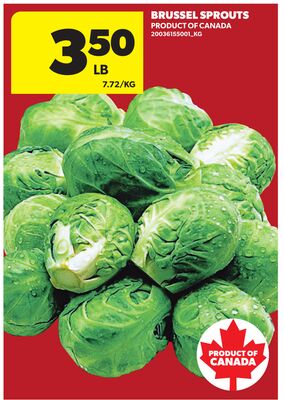 BRUSSEL SPROUTS