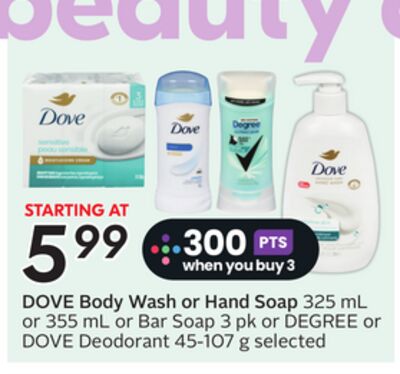 Body Wash or Hand Soap - Big Earn