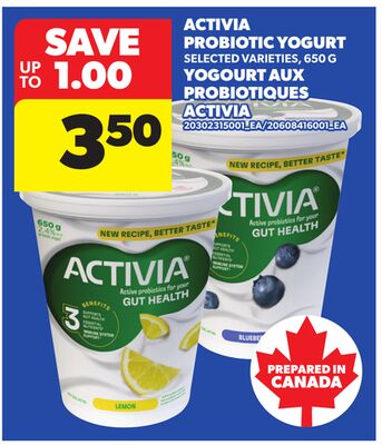 ACTIVIA PROBIOTIC YOGURT, 650 G