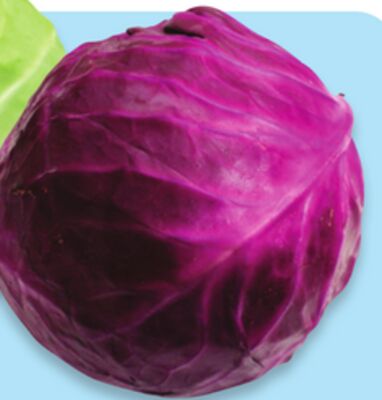Red cabbage
