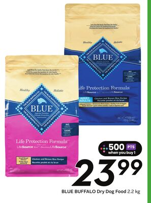 Dry Dog Food - Big Earn
