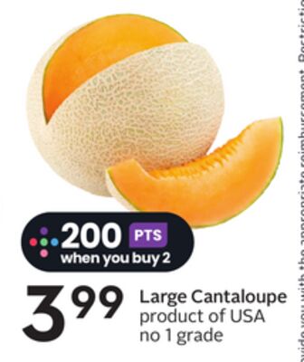 Large Cantaloupe - Big Earn