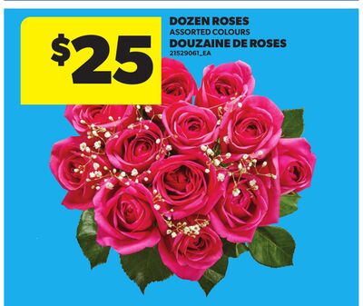 DOZEN ROSES