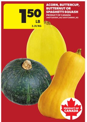 ACORN, BUTTERCUP, BUTTERNUT OR SPAGHETTI SQUASH