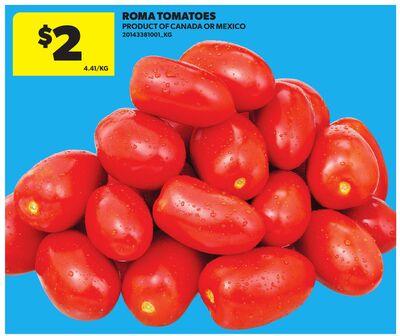 ROMA TOMATOES