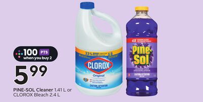 Cleaner - Big Earn