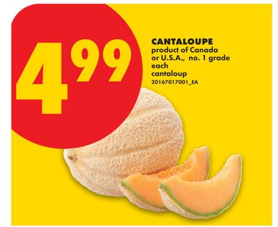 CANTALOUPE