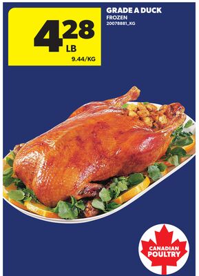 GRADE A DUCK