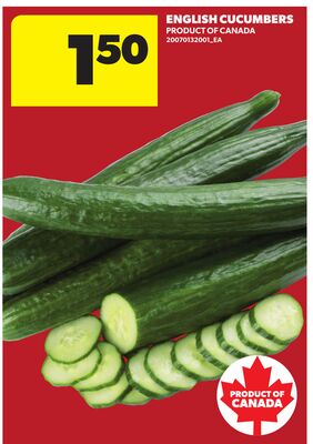 ENGLISH CUCUMBERS
