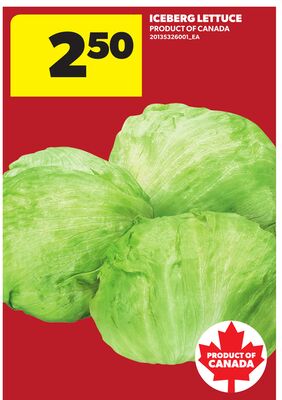 ICEBERG LETTUCE