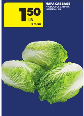 NAPA CABBAGE
