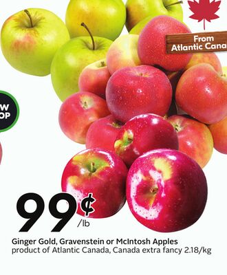 Ginger Gold, Gravenstein or McIntosh Apples - Apple Fest