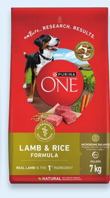 Purina ONE dry dog food