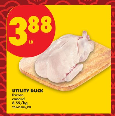 UTILITY DUCK