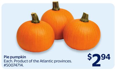 Pie pumpkin