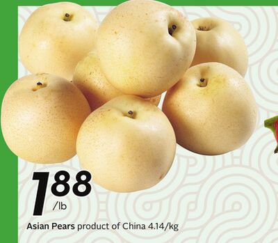 Asian Pears - Mid-Autumn festival