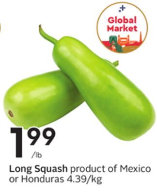 Long Squash