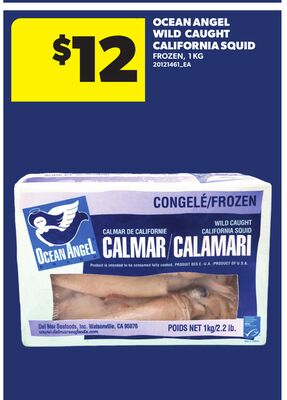 OCEAN ANGEL WILD CAUGHT CALIFORNIA SQUID, 1 KG