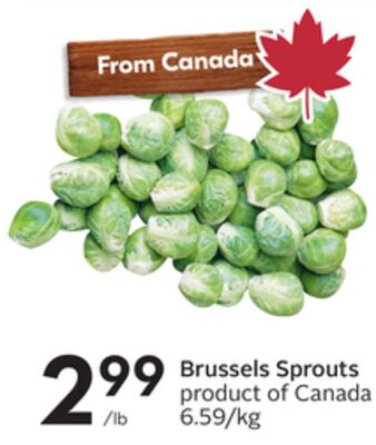 Brussels Sprouts